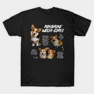 Pembroke Welsh Corgi Fun Facts T-Shirt